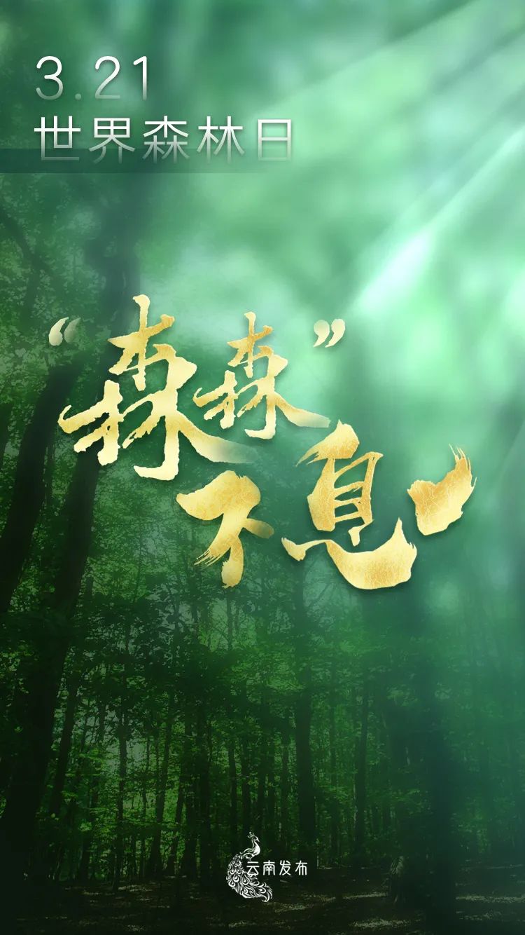 美丽云南微科普