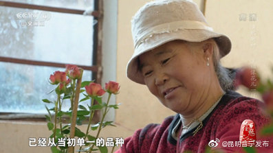 昆明晋宁发布