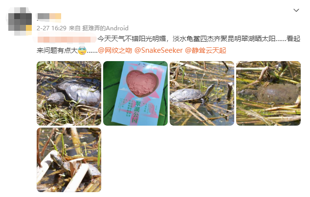 昆明信息港/cnkmxxg