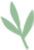 丽江日报