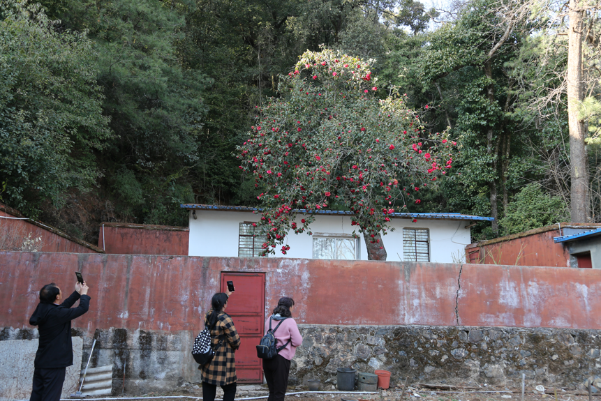 大理电视台