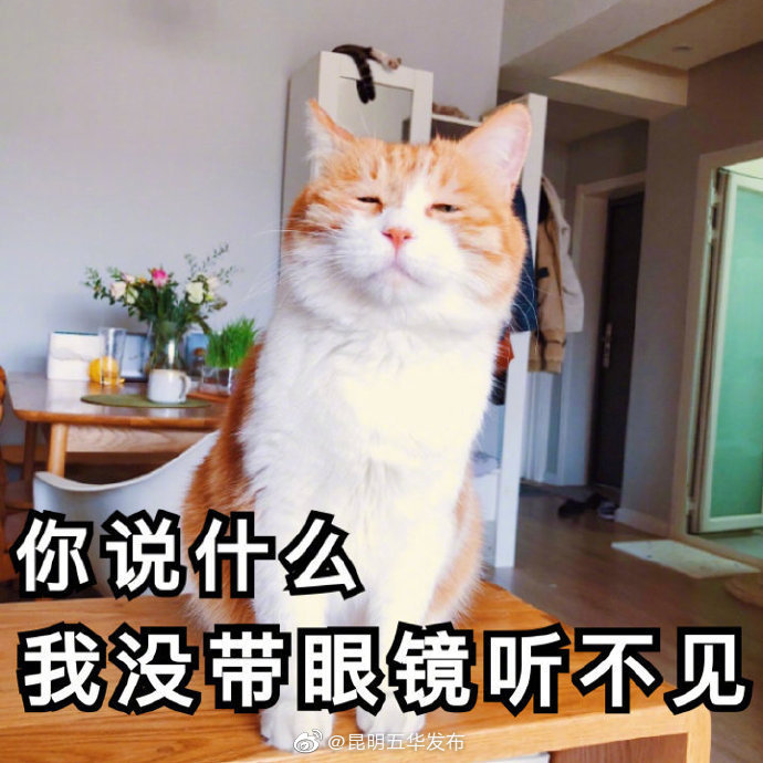 吃药期间别戴隐形眼镜 