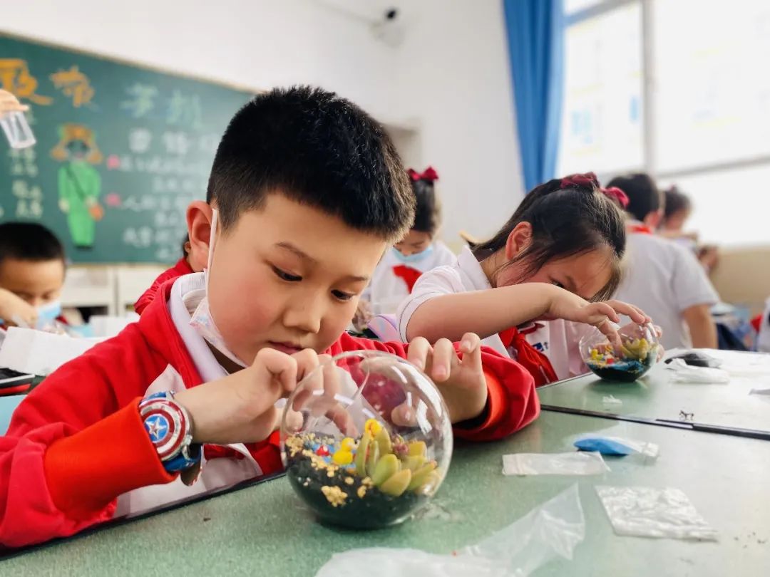 盘龙教育(微信)