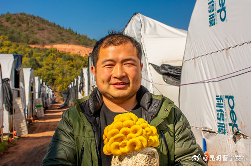 昆明晋宁发布