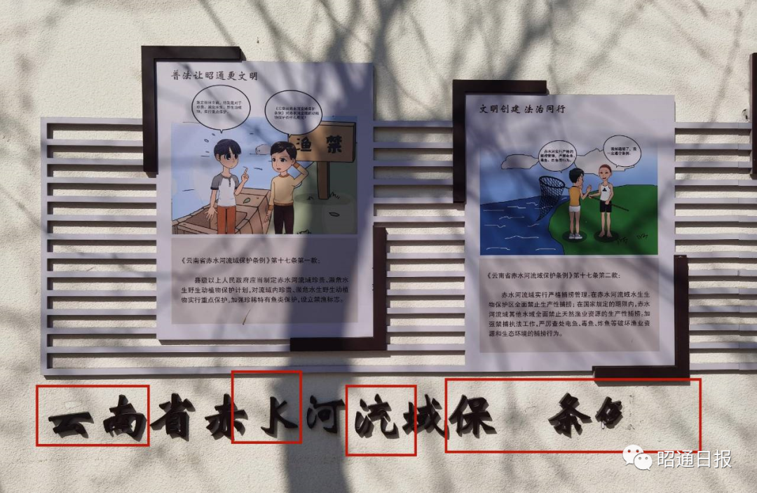昭通日报