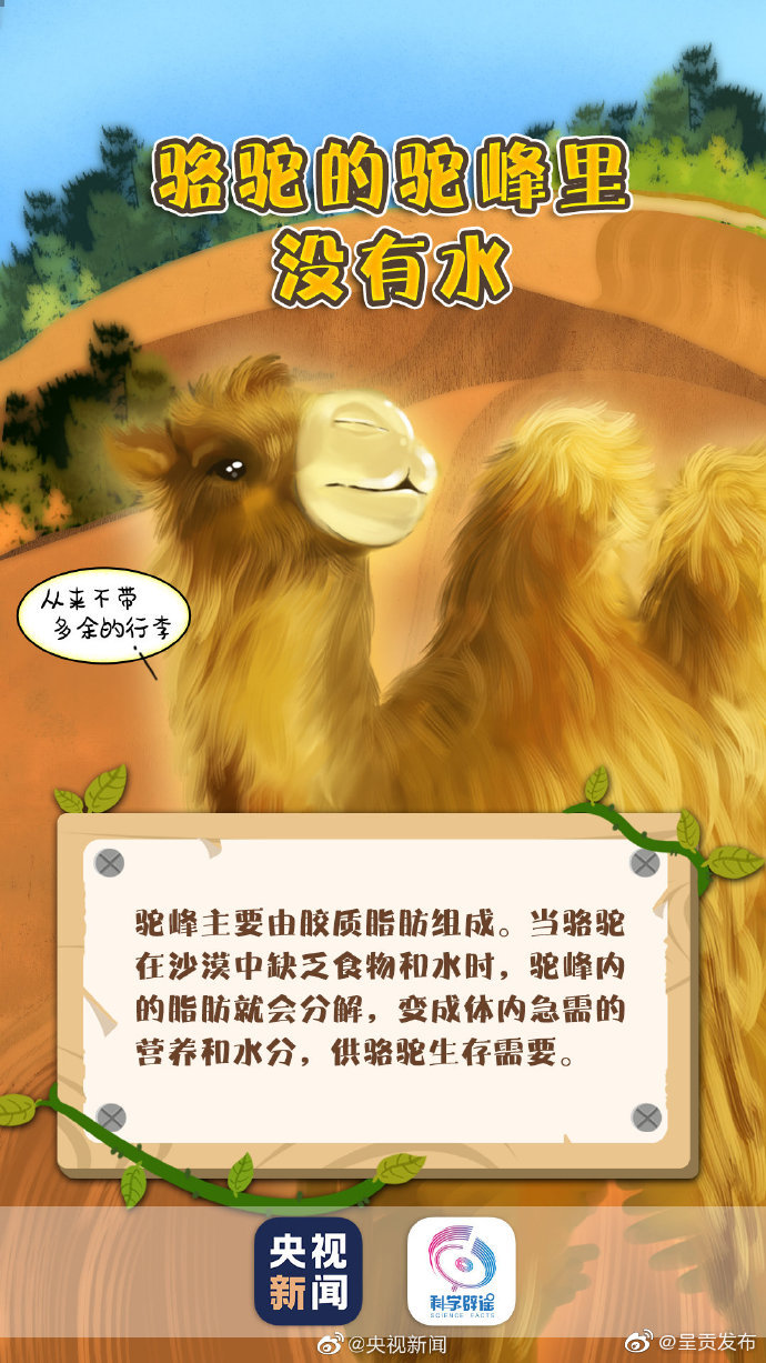 呈贡发布