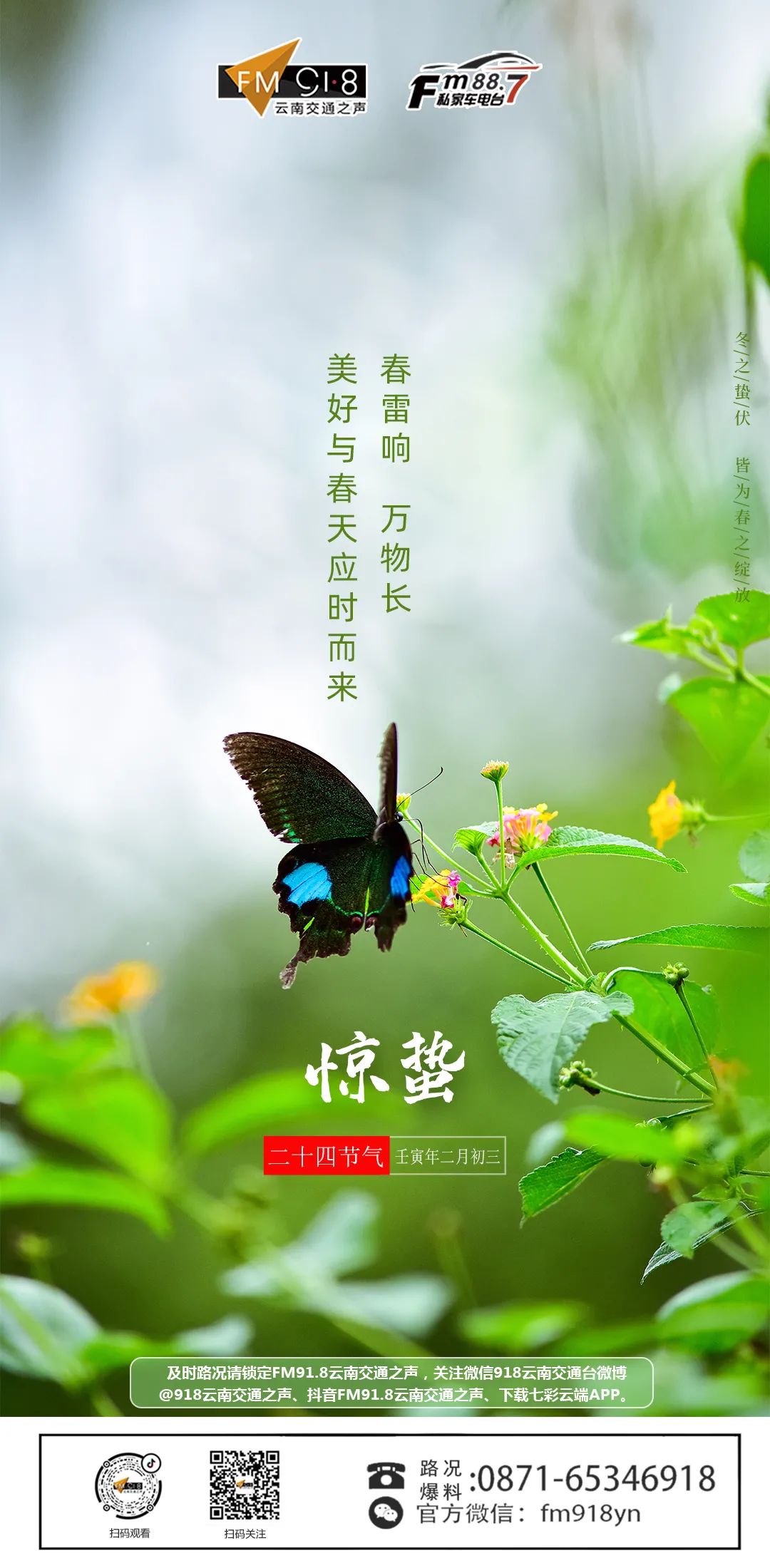 918云南交通台(微信)