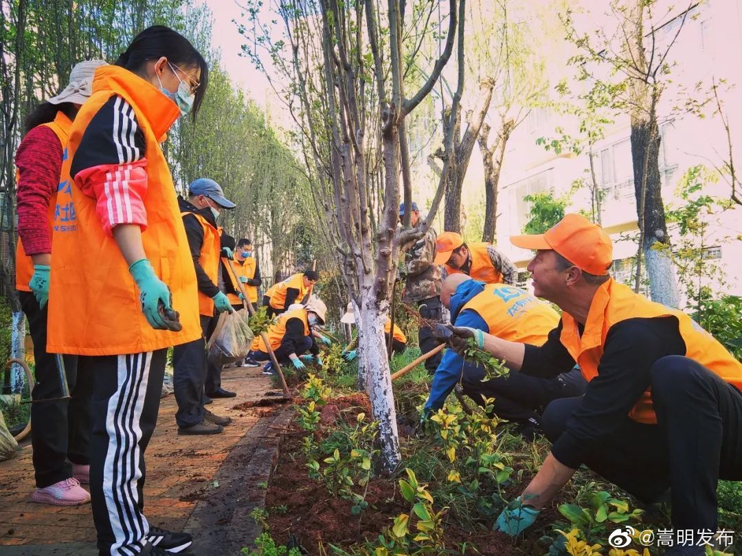 嵩明发布