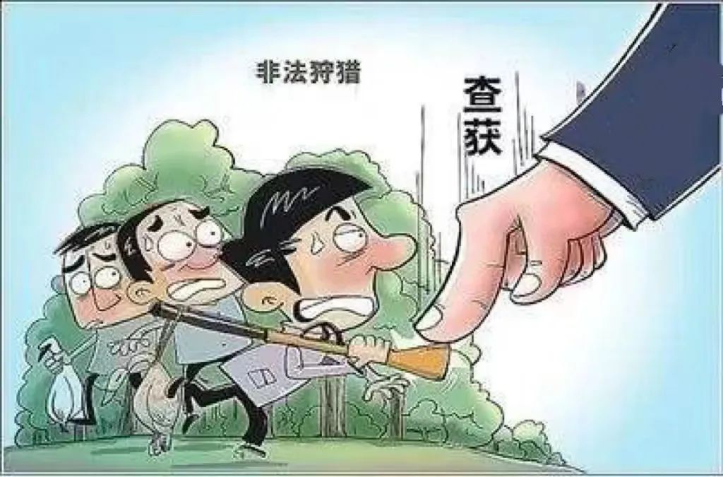 云南法制报