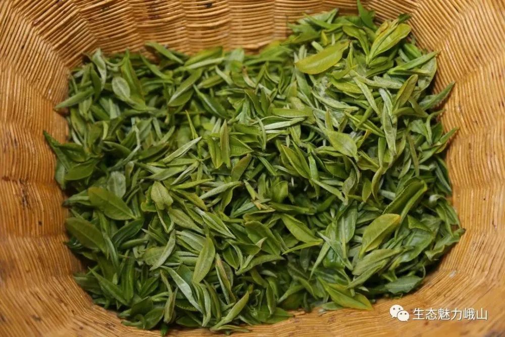 玉溪发布