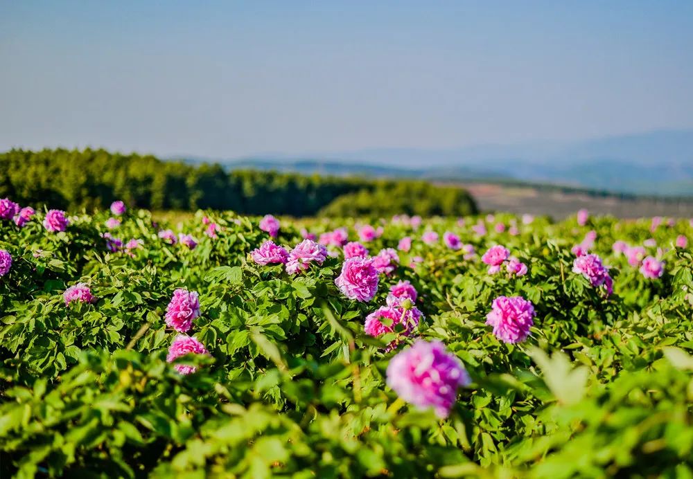 昆明阳宗海风景名胜区(微信)