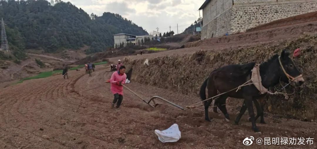 昆明禄劝发布