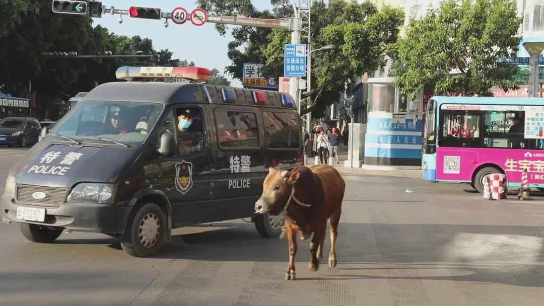 云南政法