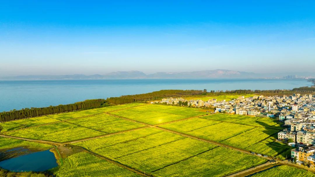 昆明市呈贡区人民法院(微信)