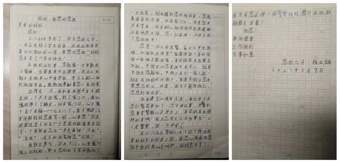 云南政法