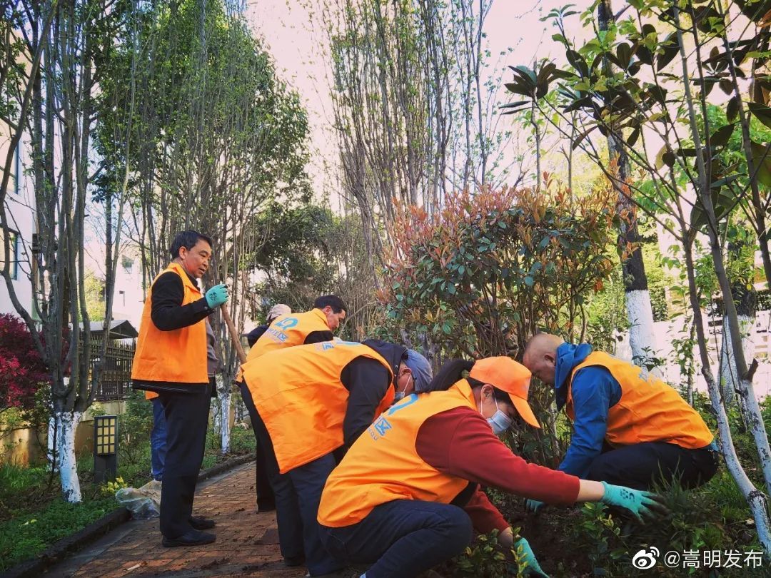 嵩明发布