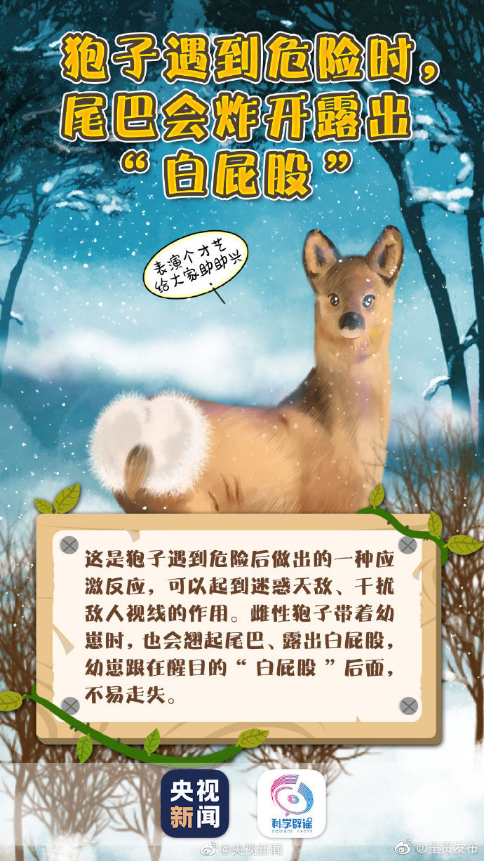 呈贡发布