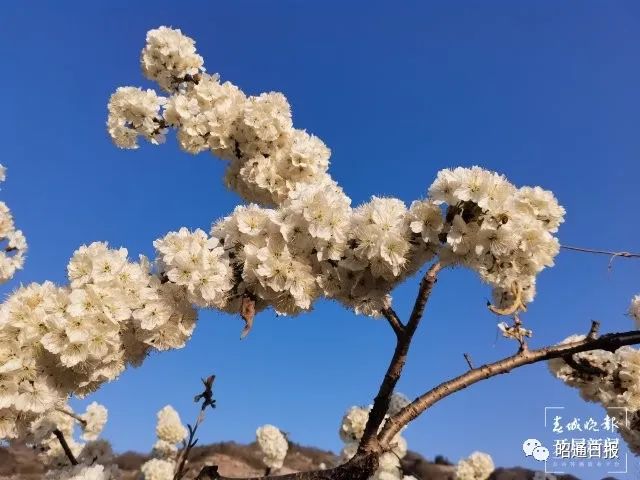 昭通日报
