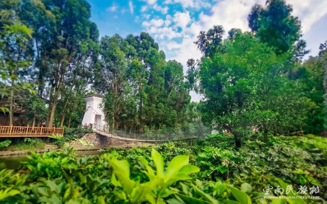 昆明滇池国家旅游度假区管理委员会(微信)