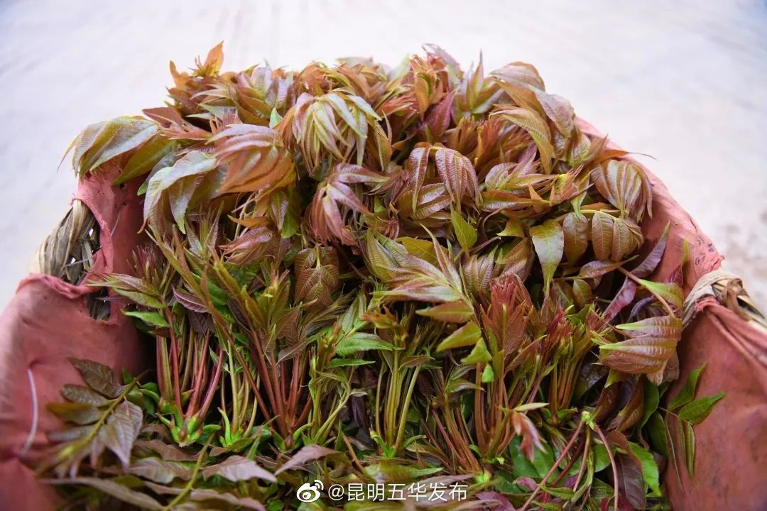 “昆明五华发布”微博