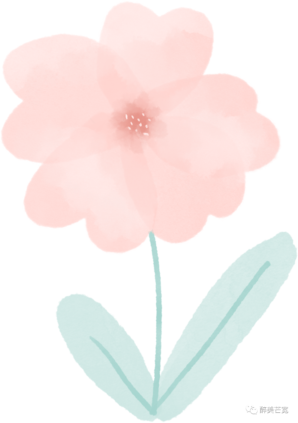 保山新闻网