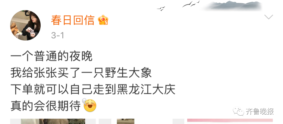 掌上春城微信公众号