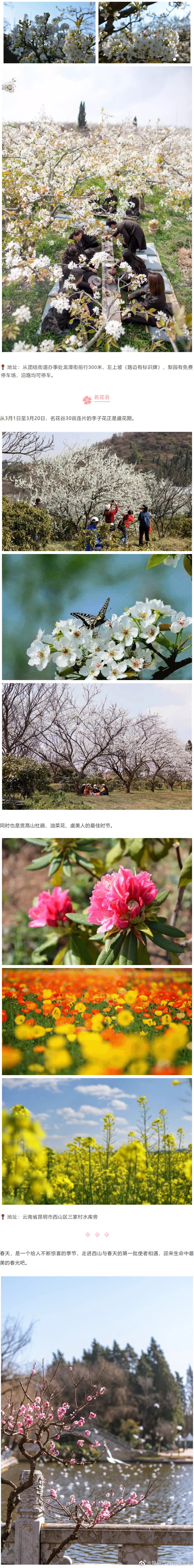 “昆明市西山区发布”微博