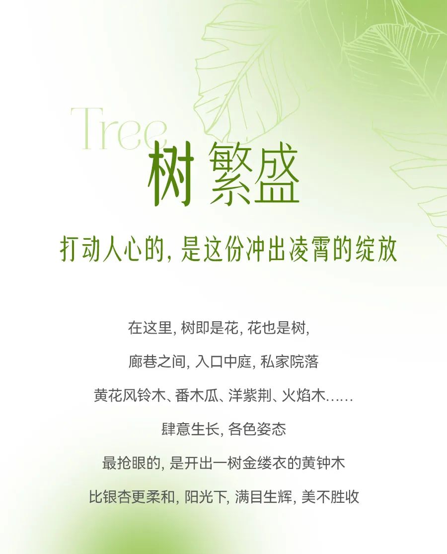 德宏团结报