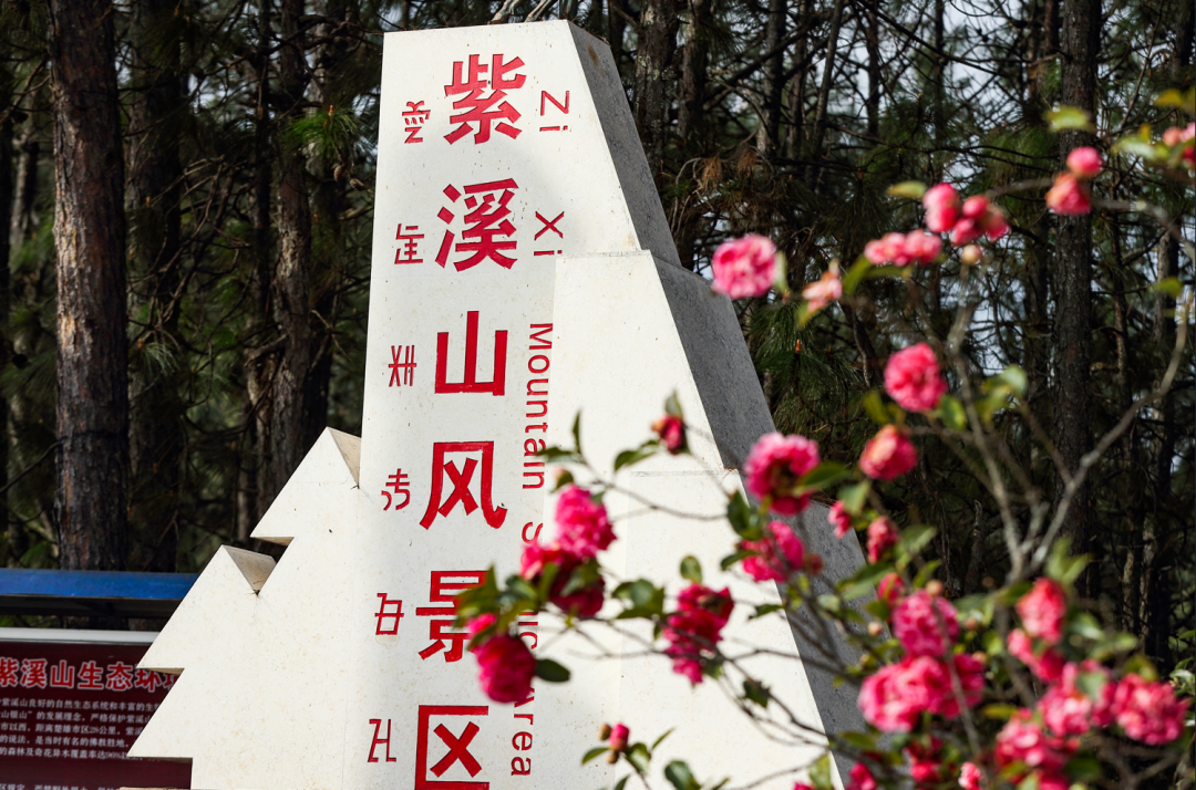 美丽云南微科普