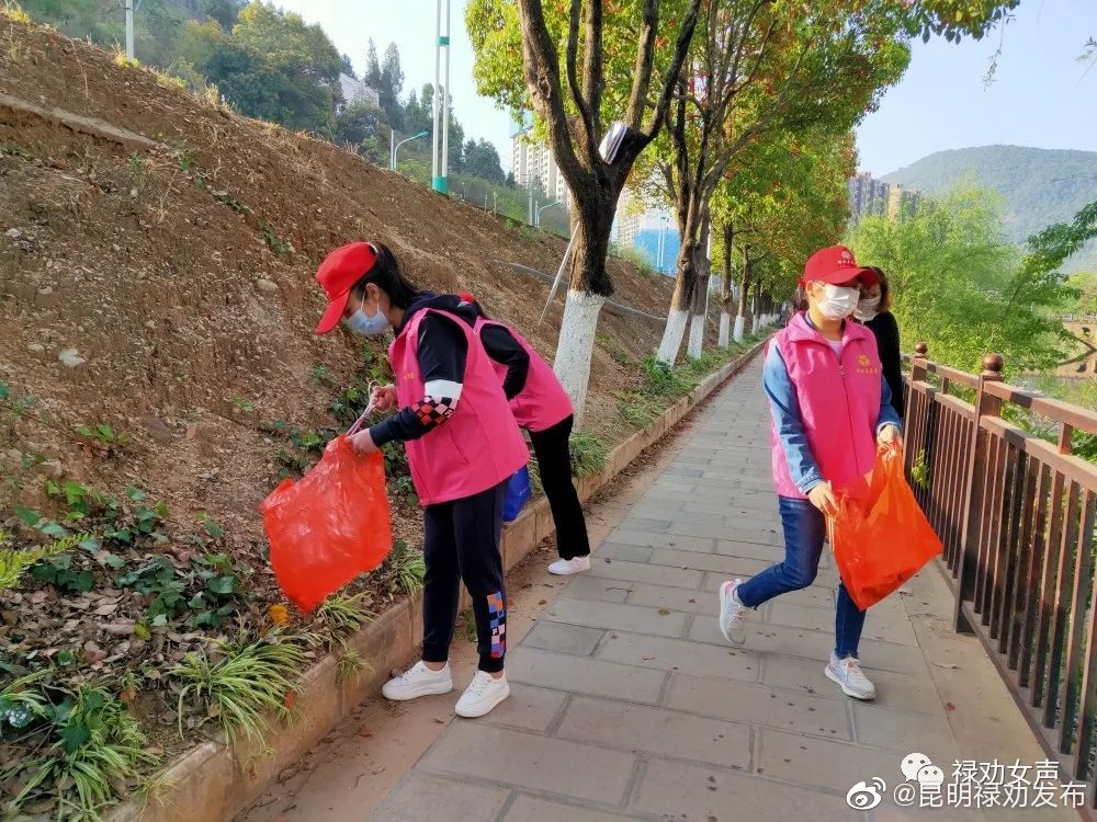 昆明禄劝发布