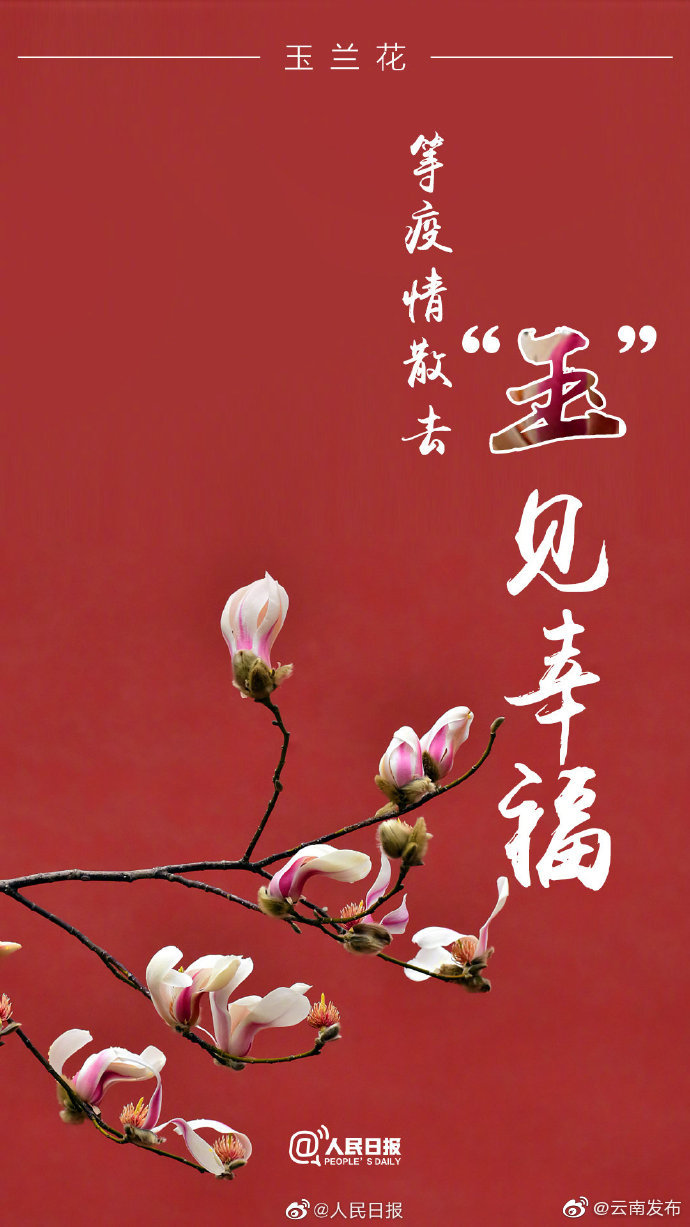 “云南发布”微博