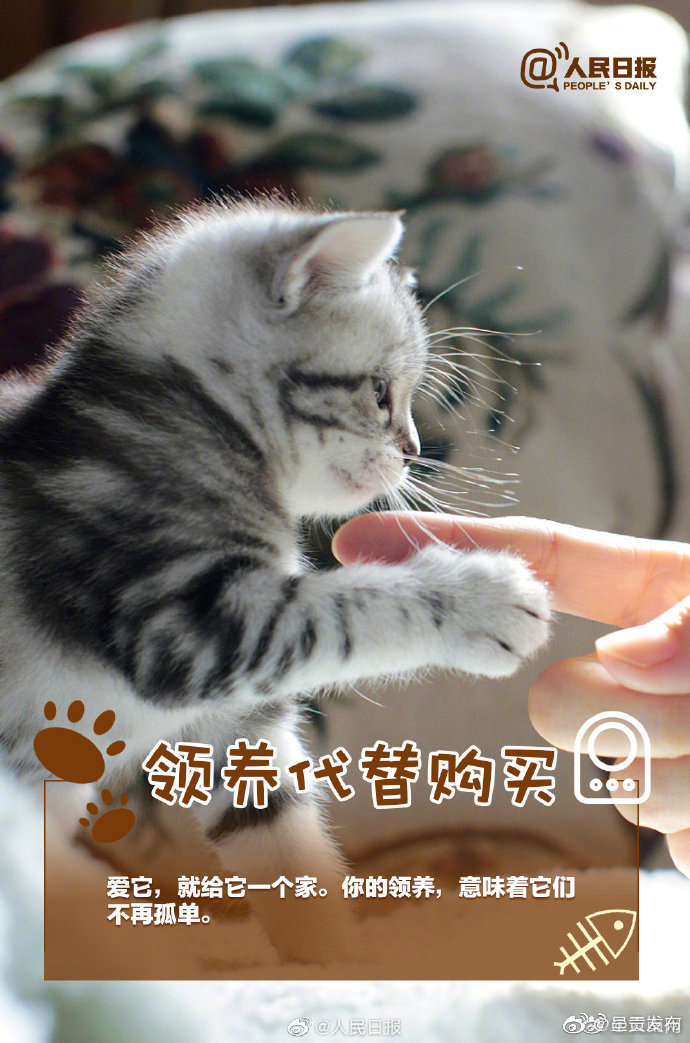 呈贡发布
