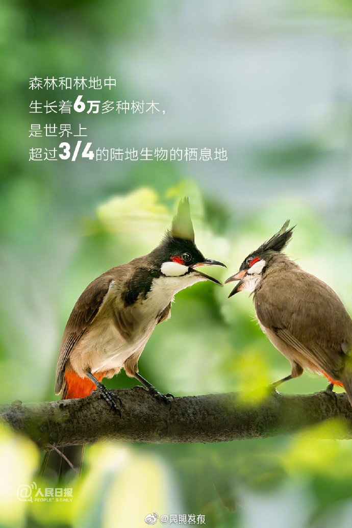 昆明发布