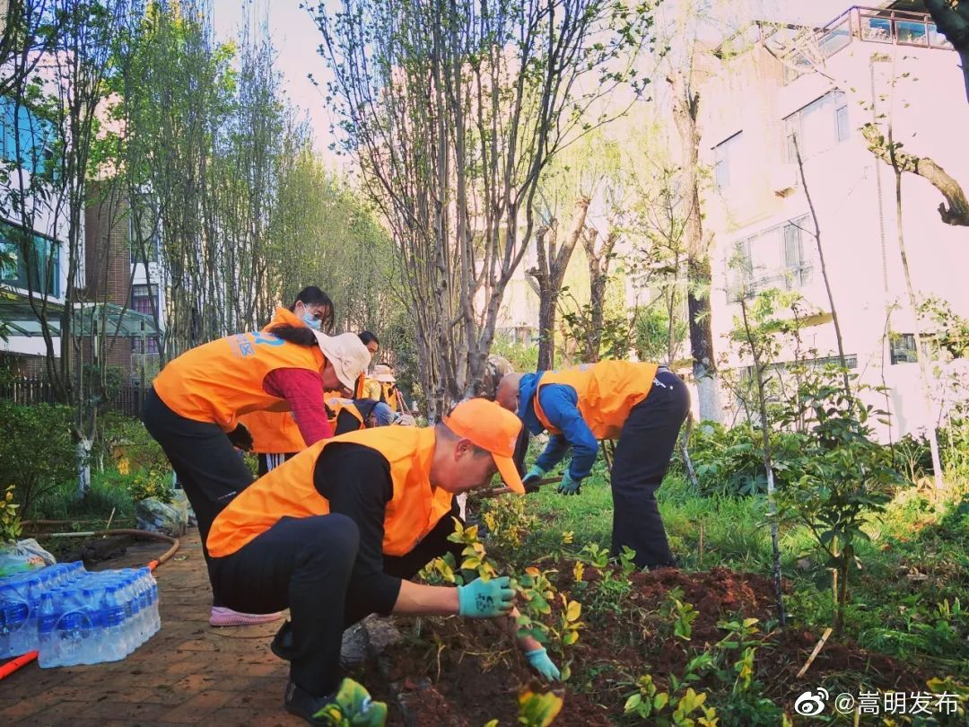 嵩明发布