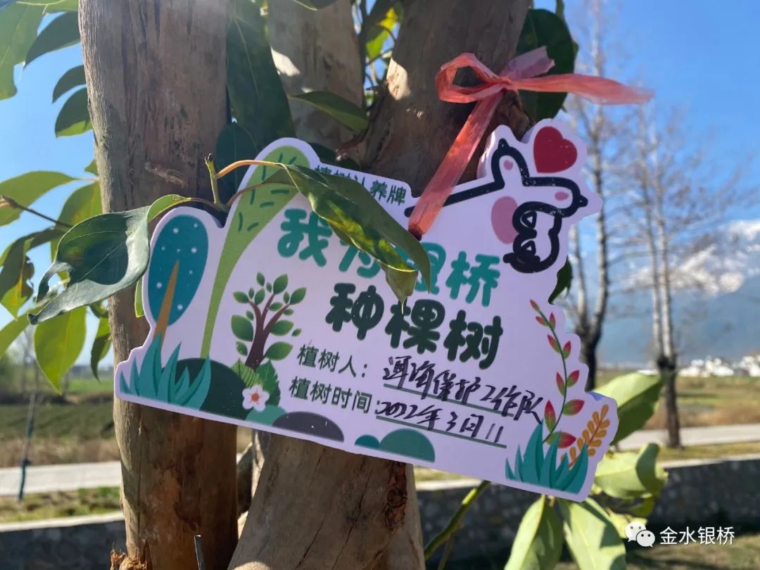 大理电视台
