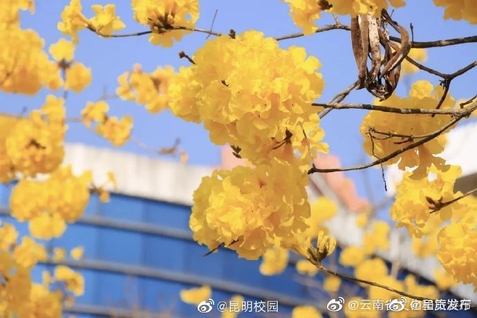 呈贡发布