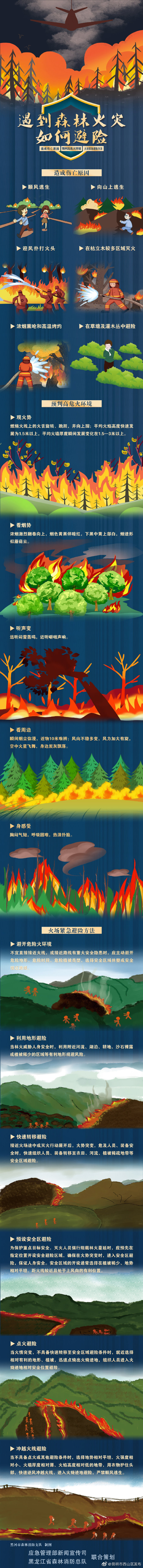 遇到森林火灾应如何避险？
