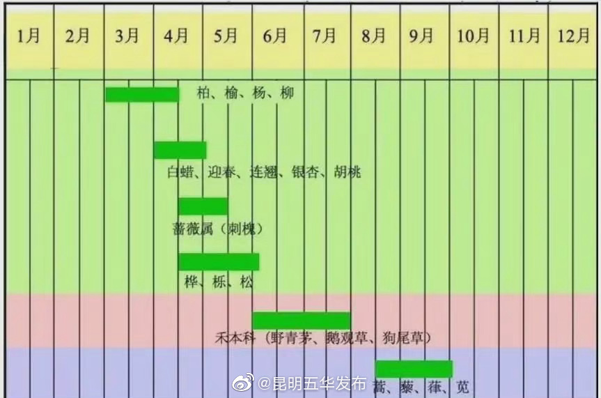 春季过敏上线了！给爱过敏的人全套防护建议