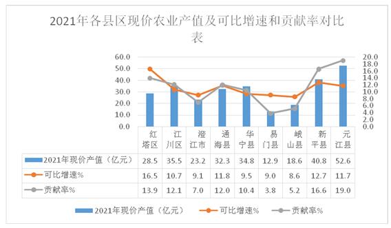 玉溪市人民政府