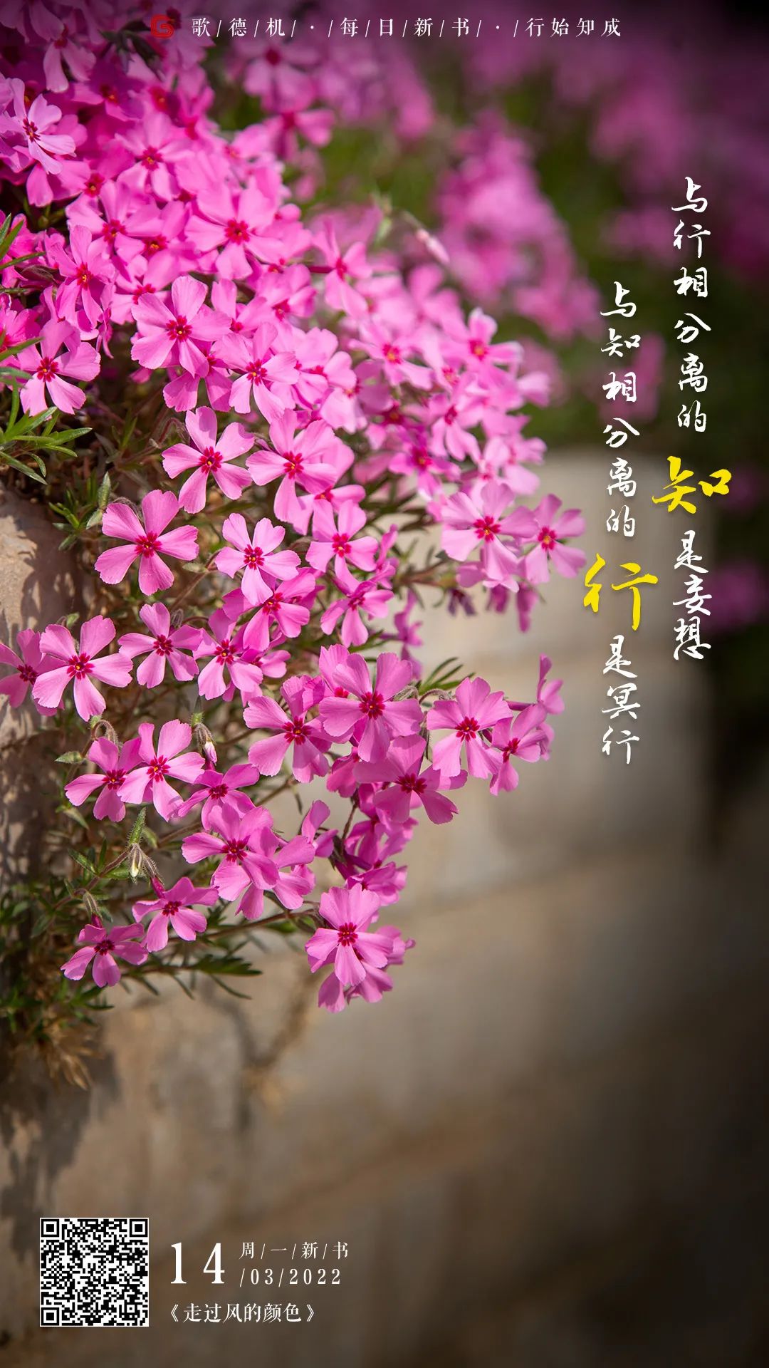 昆明市西山区图书馆
