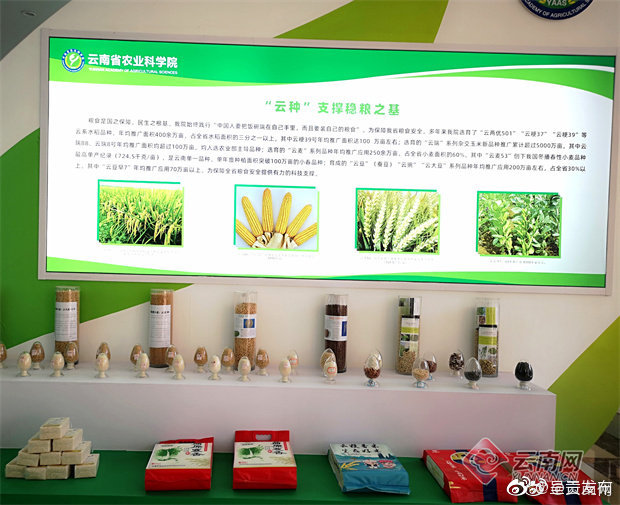呈贡发布