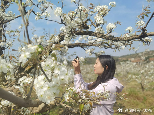 昆明晋宁发布