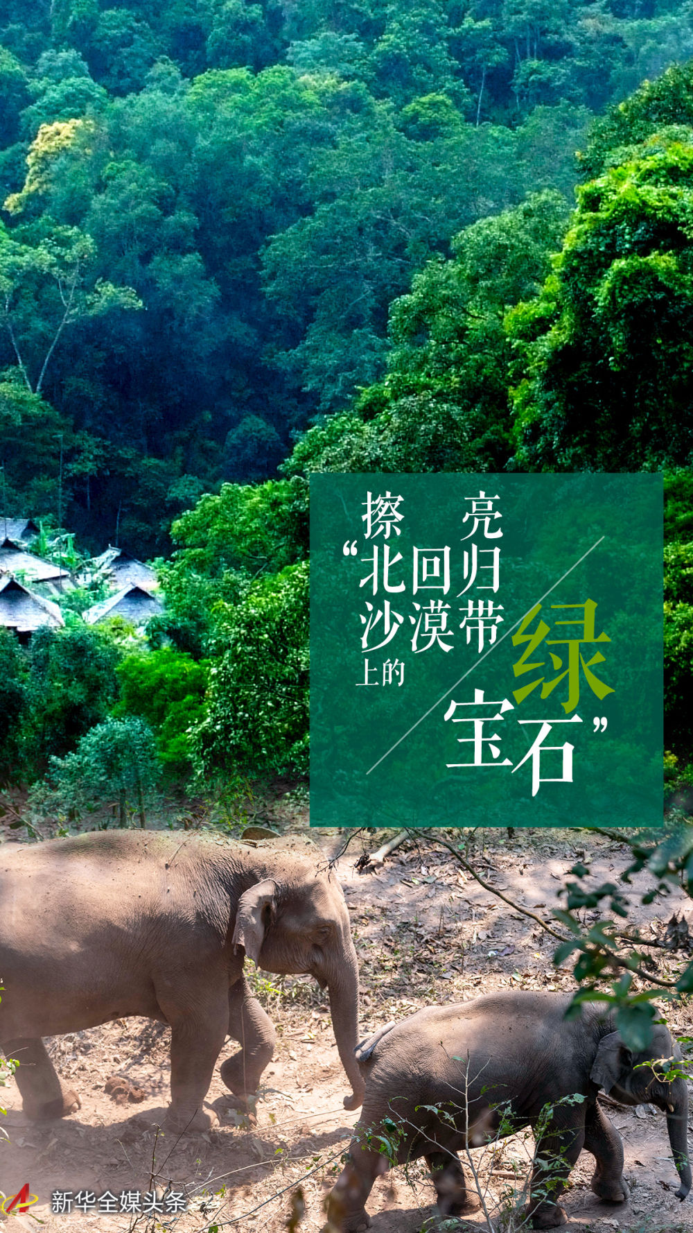 云南省文化和旅游厅