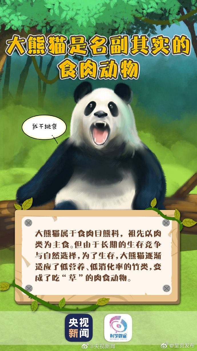 呈贡发布