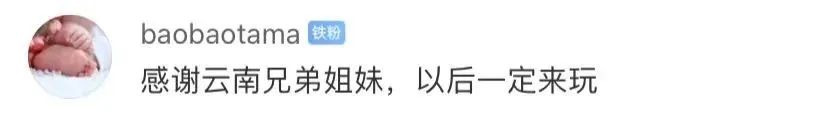 春城晚报