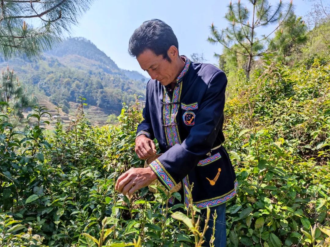 丽江日报