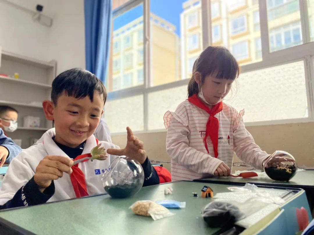盘龙教育(微信)