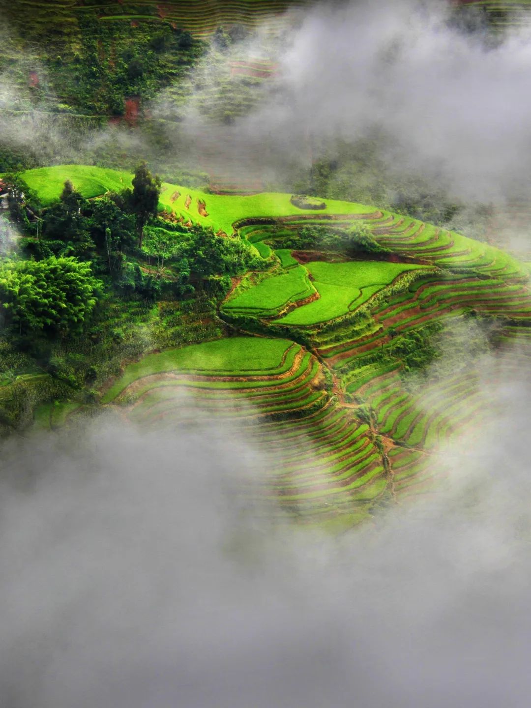 红河文旅