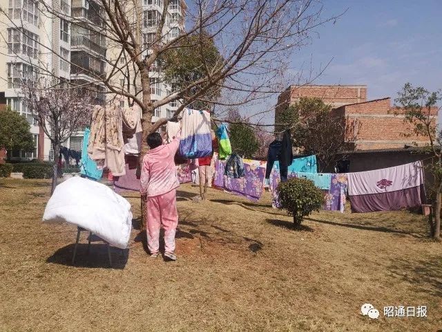 昭通日报