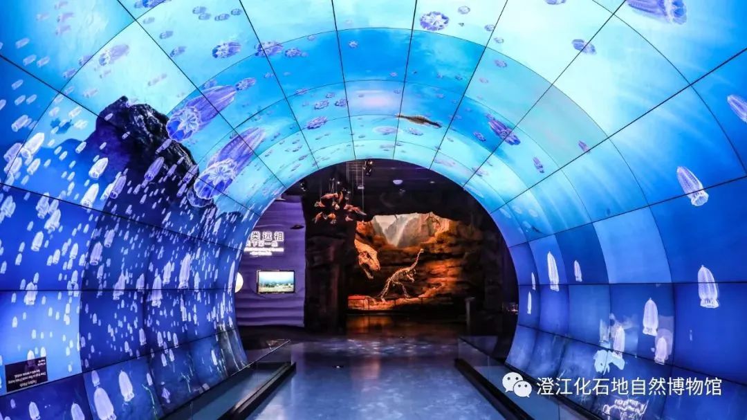 玉溪发布